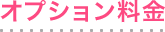 オプション料金