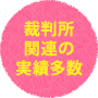 裁判所関連の実績多数